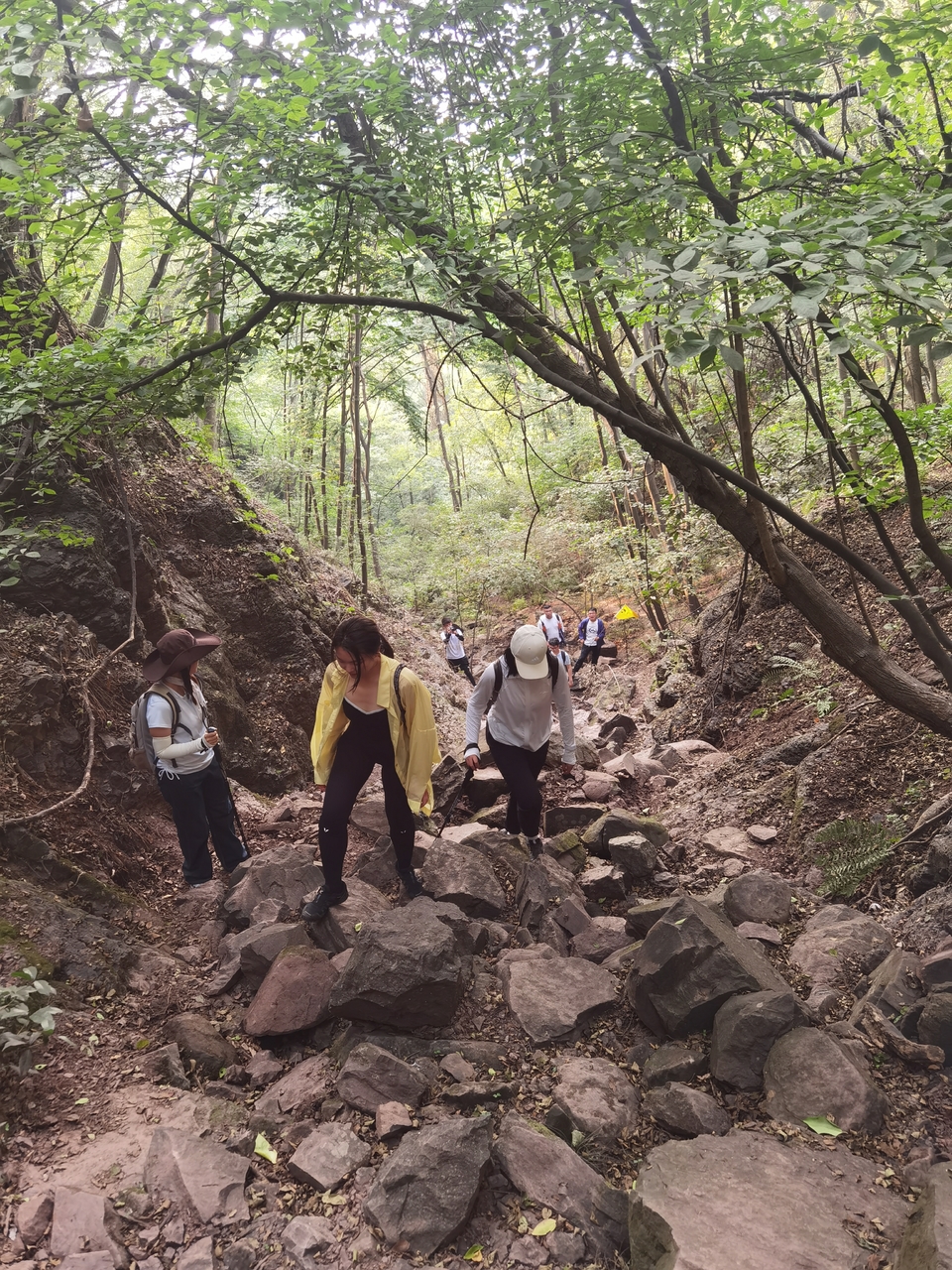 微信图片_20220620211908