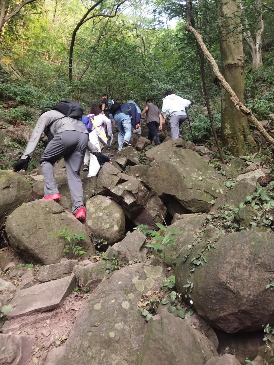 微信图片_20220620211917