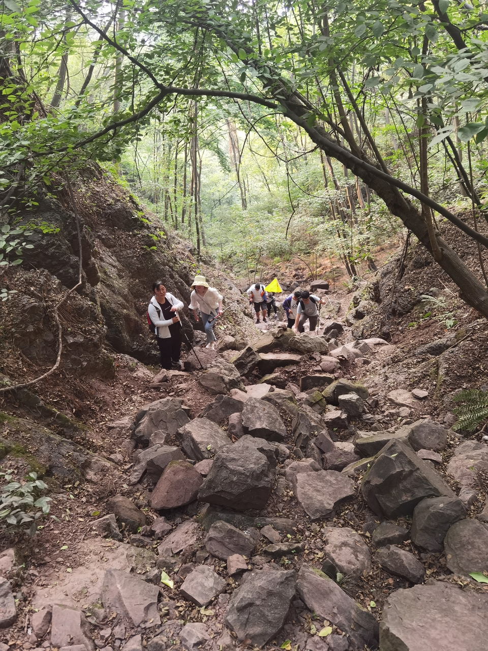 微信图片_20220620211924