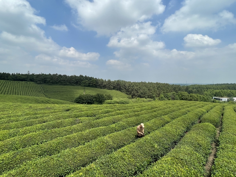 微信图片_20220620205628