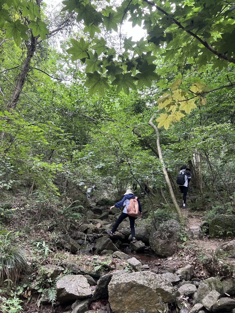 微信图片_20220620212014