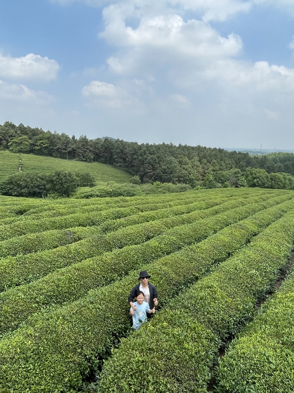 微信图片_20220620205640