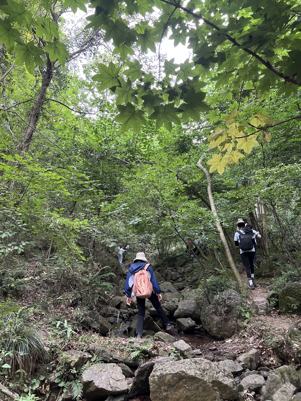 微信图片_20220620212018