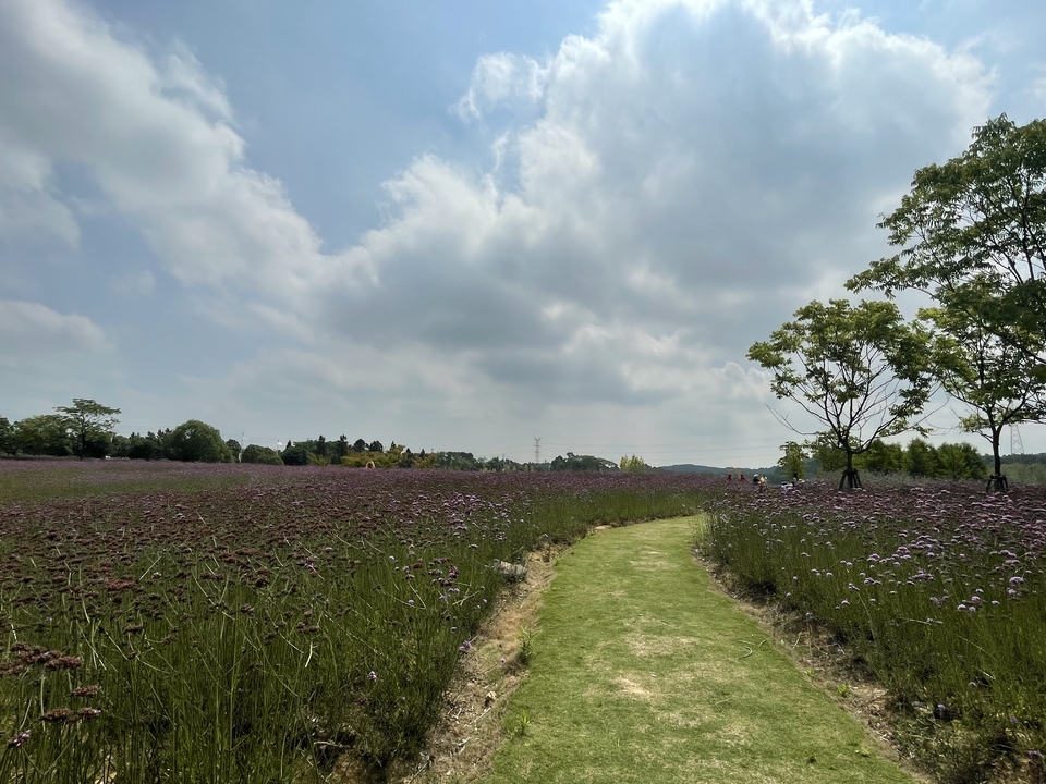 微信图片_20220620205840