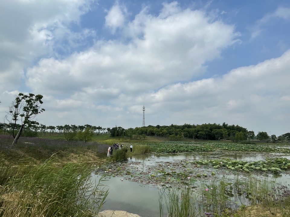 微信图片_20220620205847