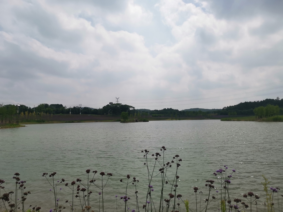 微信图片_20220620205850