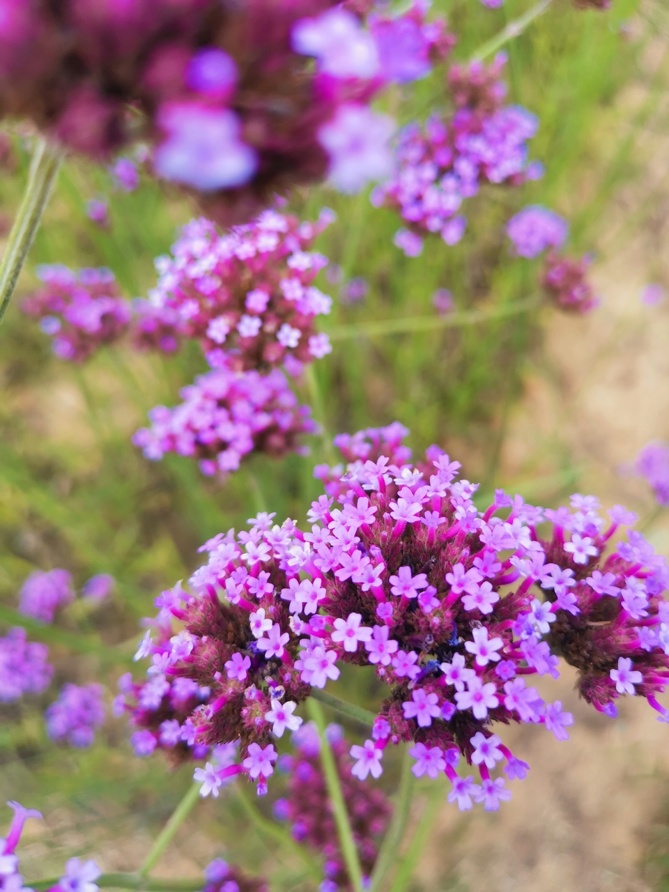 微信图片_20220620205853