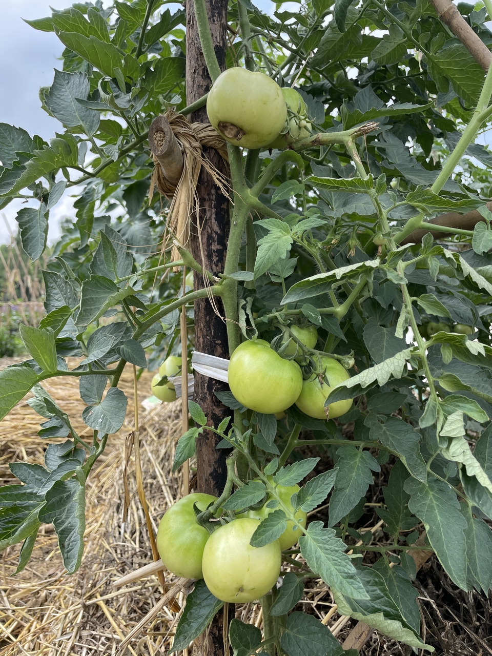 微信图片_20220620205904