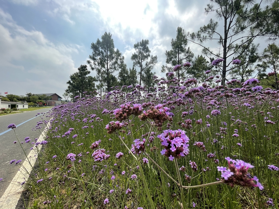 微信图片_20220620205907