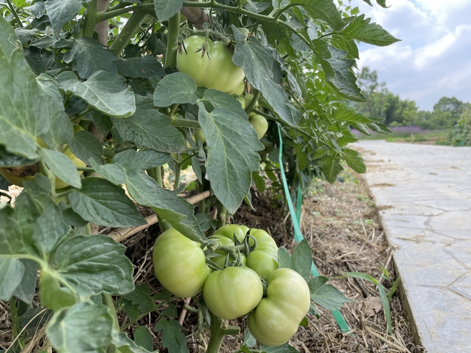 微信图片_20220620205911