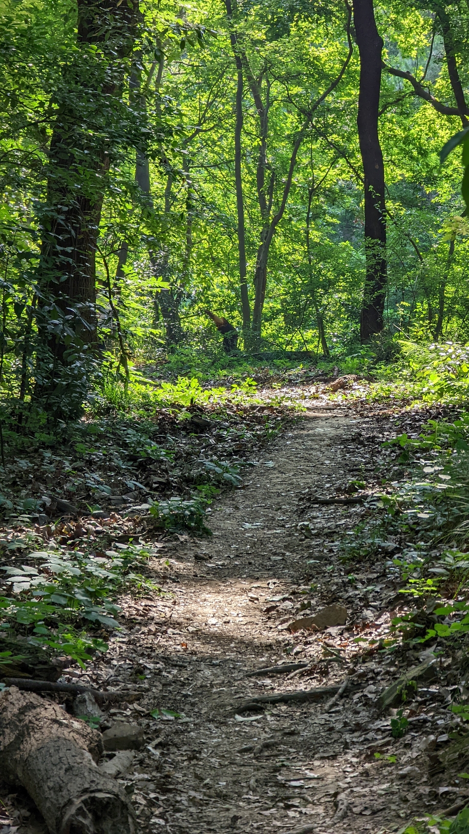 微信图片_20220620212142