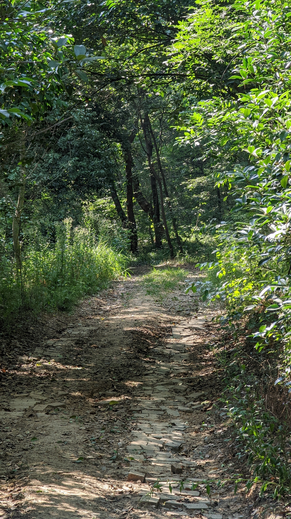 微信图片_20220620212210