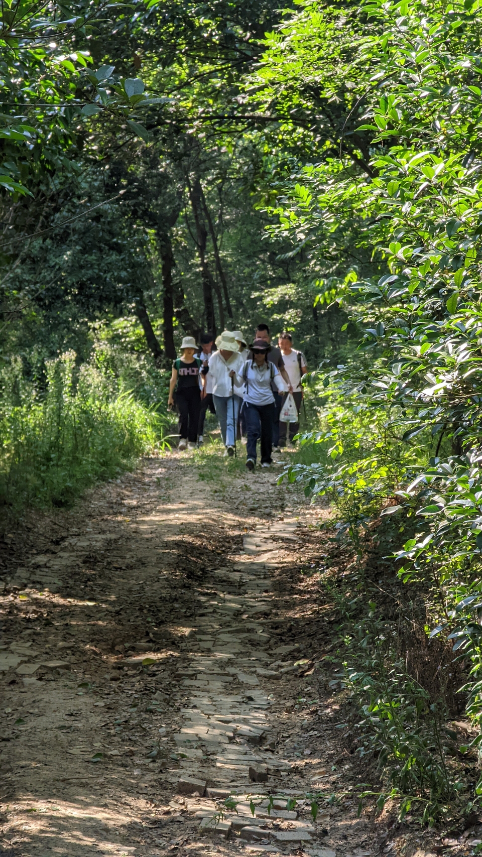 微信图片_20220620212216