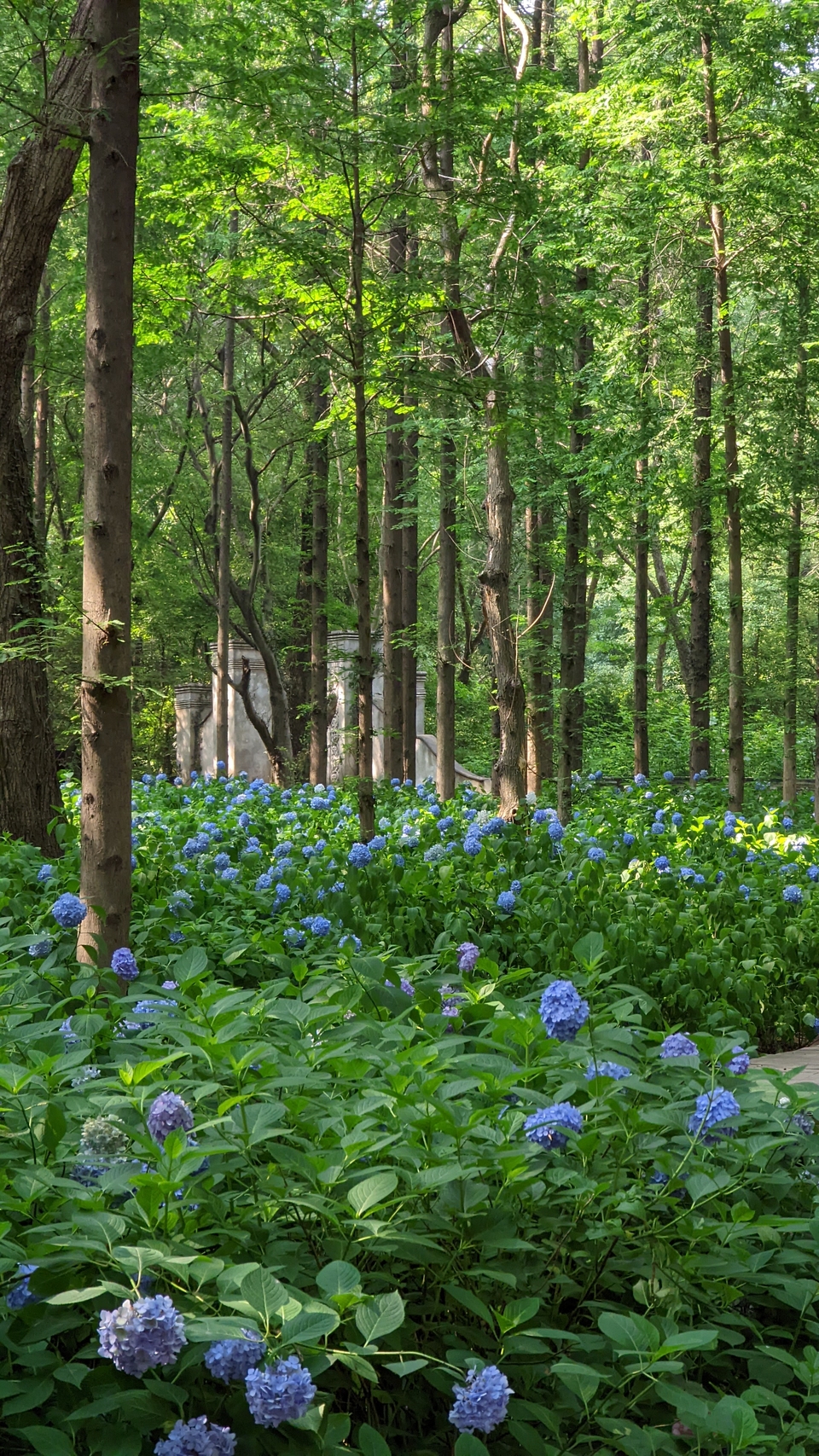 微信图片_20220620212235