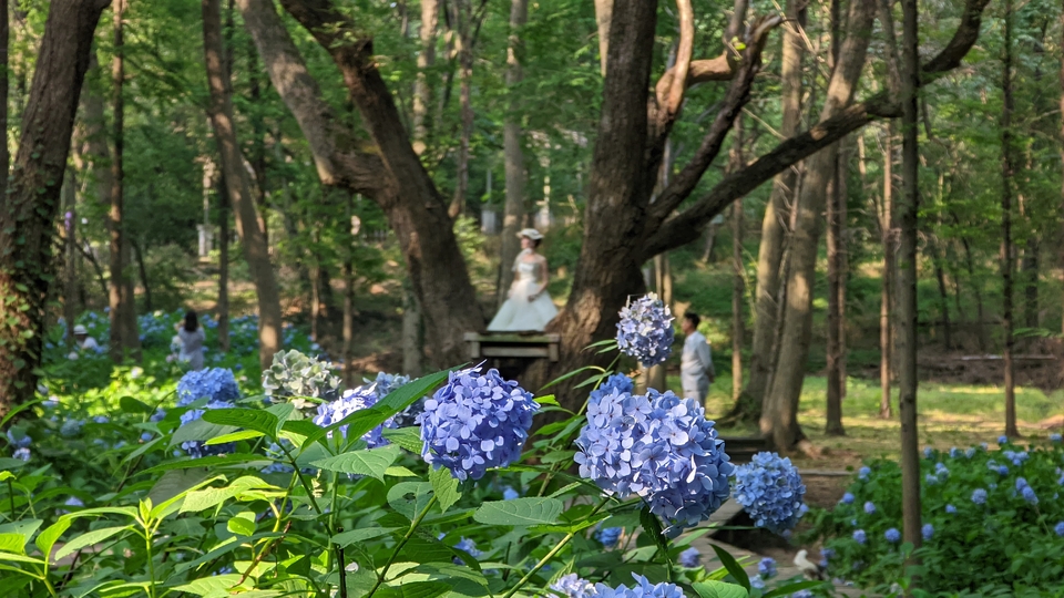 微信图片_20220620212324