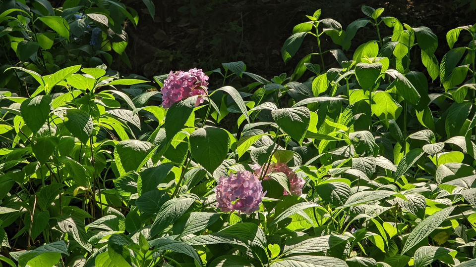 微信图片_20220620212328