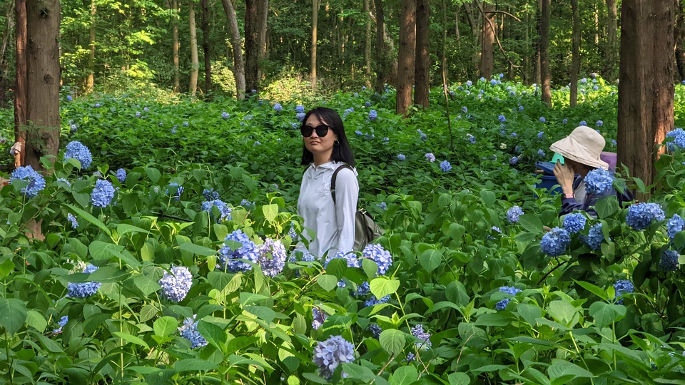 微信图片_20220620212331