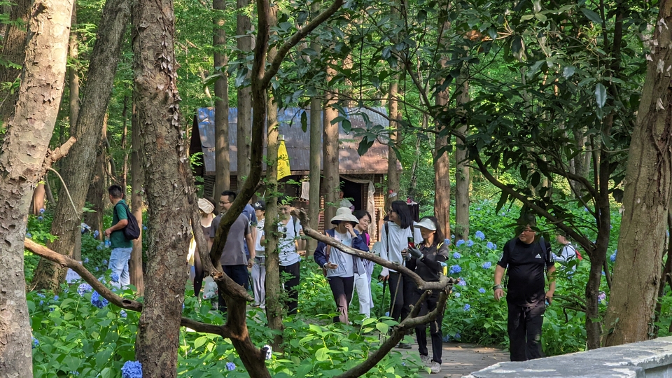 微信图片_20220620212334