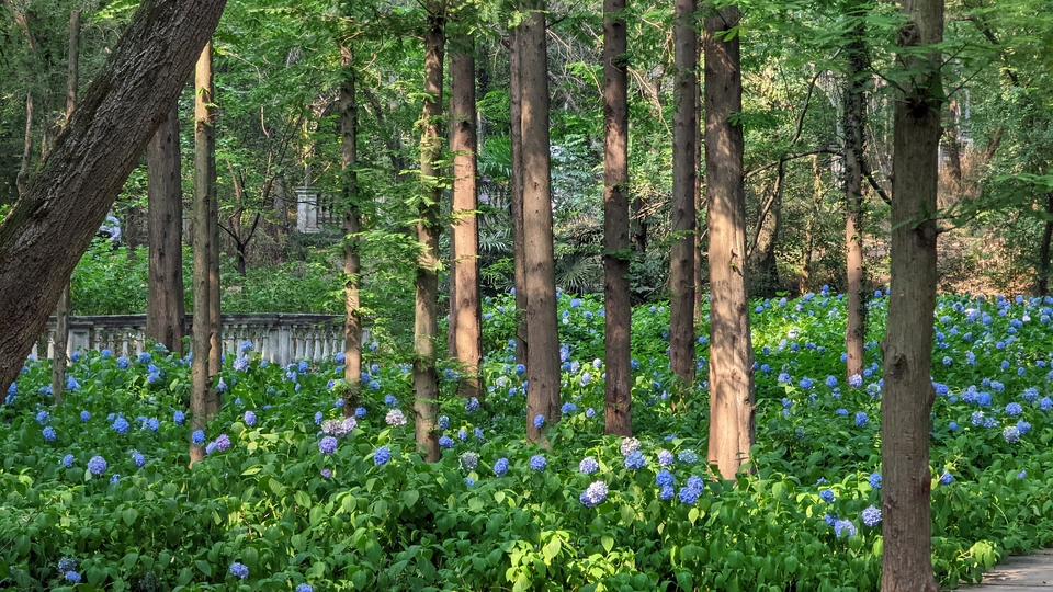 微信图片_20220620212337