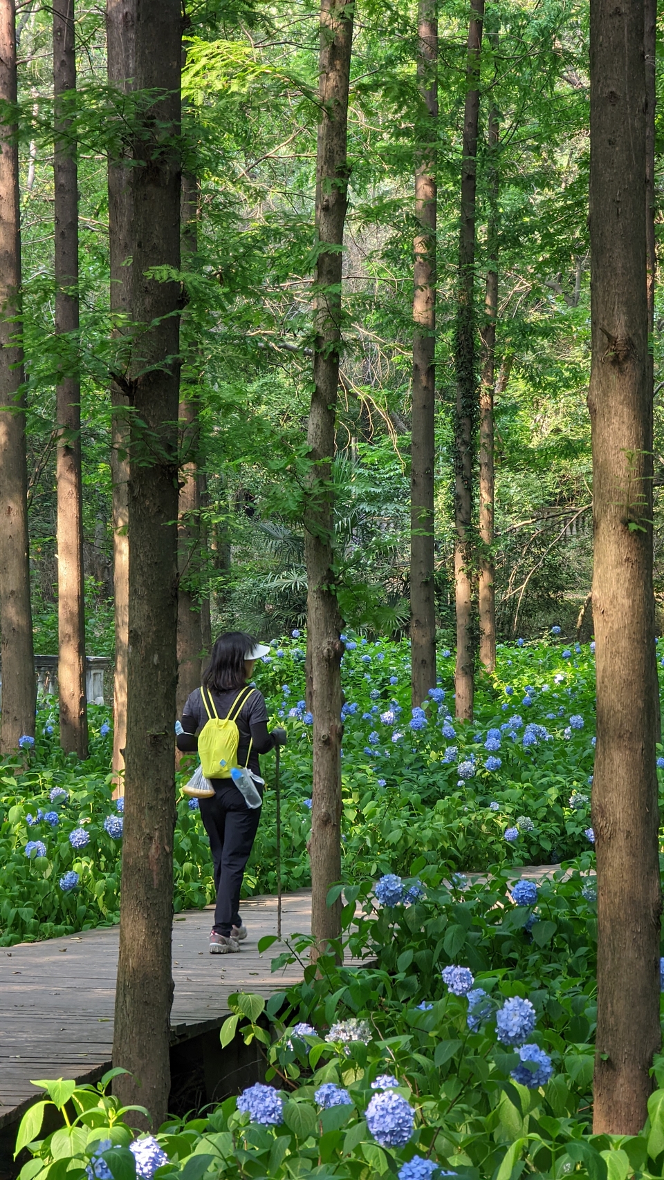 微信图片_20220620212342