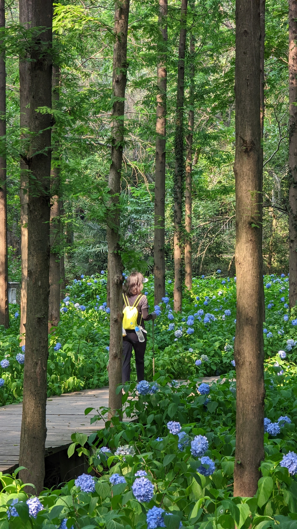 微信图片_20220620212346