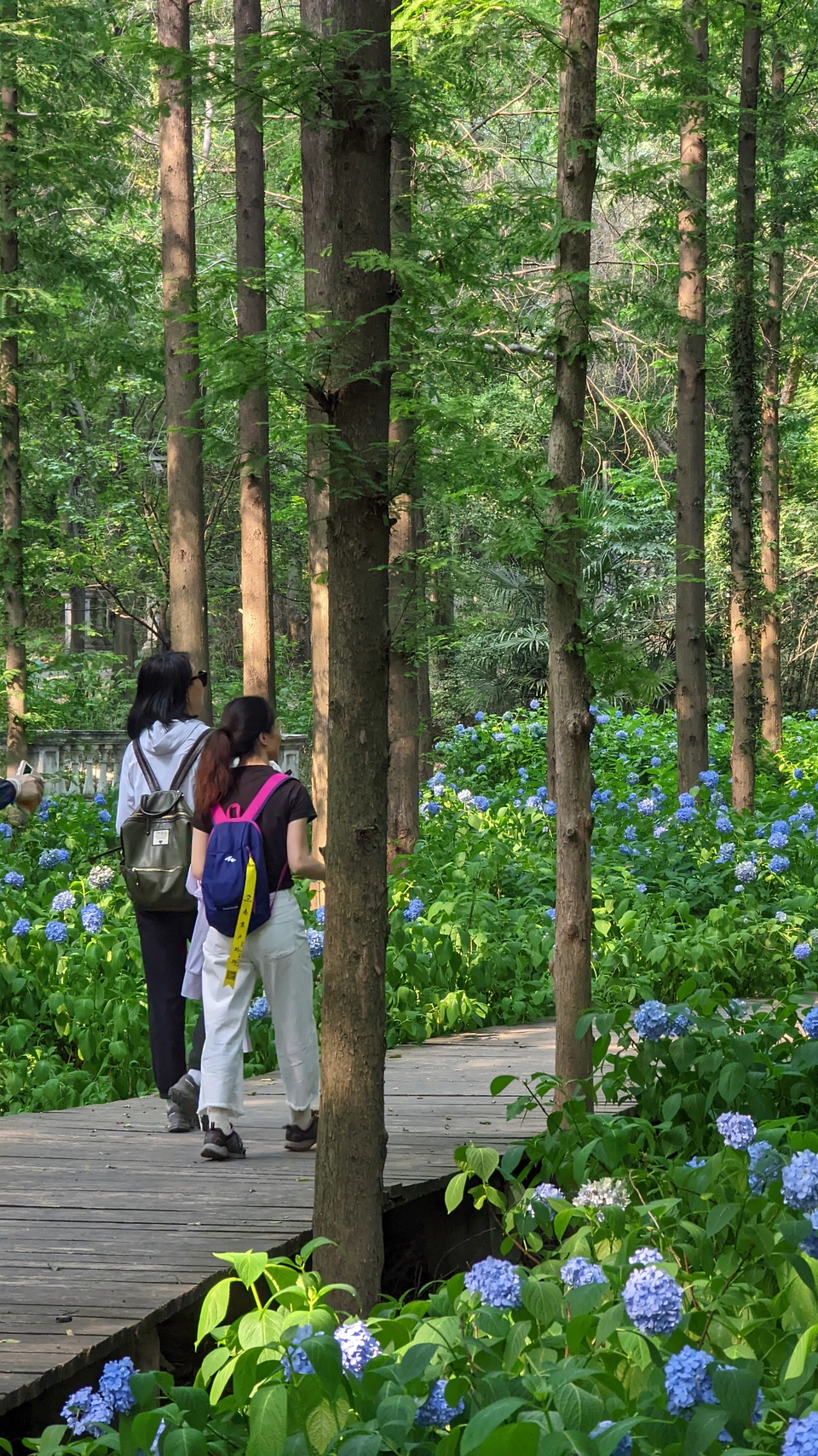 微信图片_20220620212349