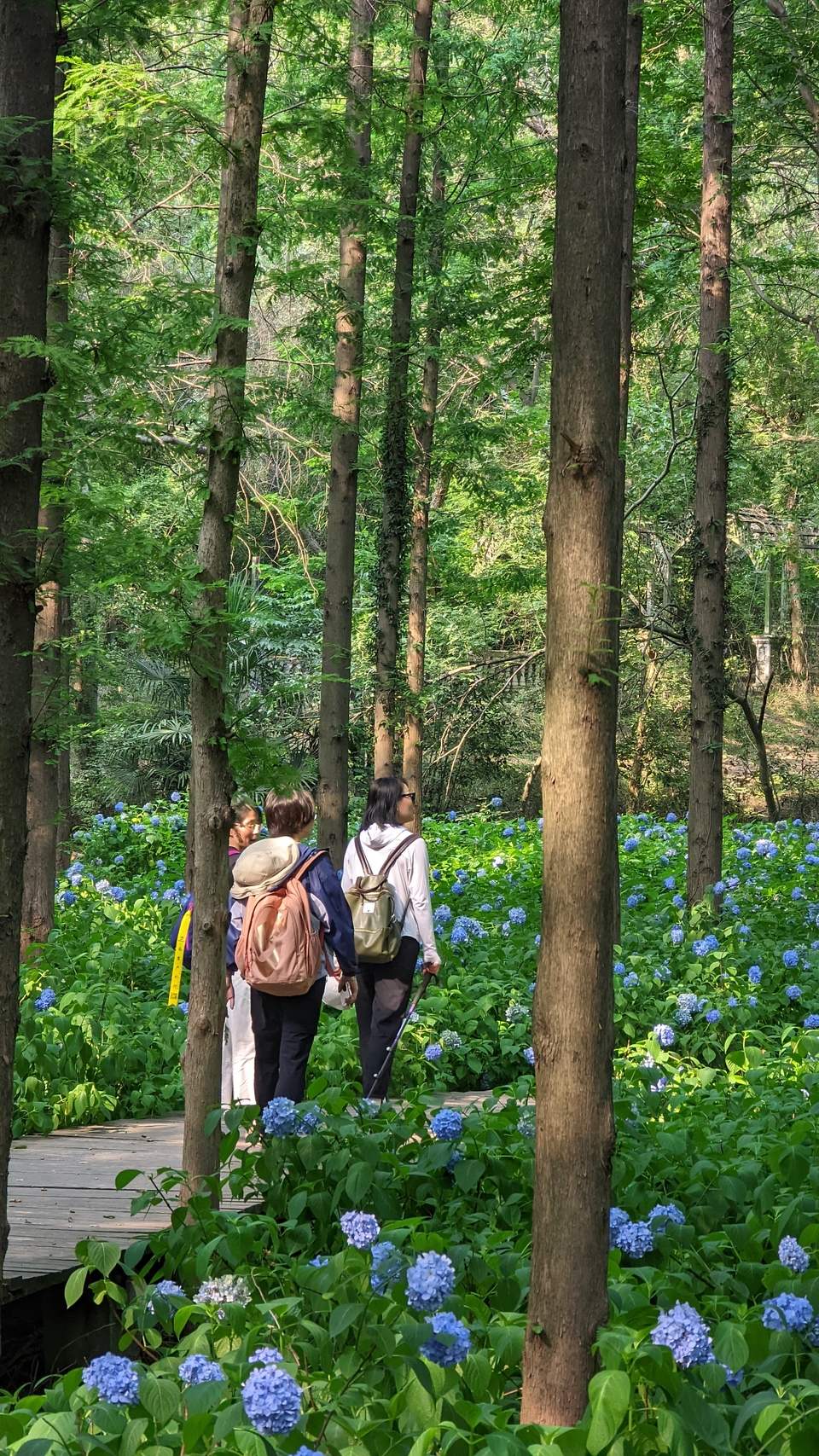 微信图片_20220620212352