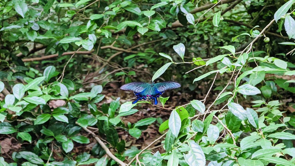 微信图片_20220620212355