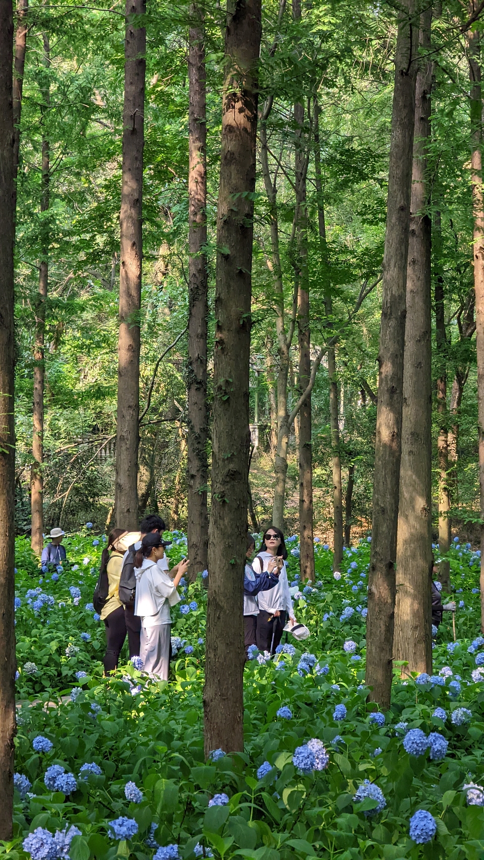 微信图片_20220620212403