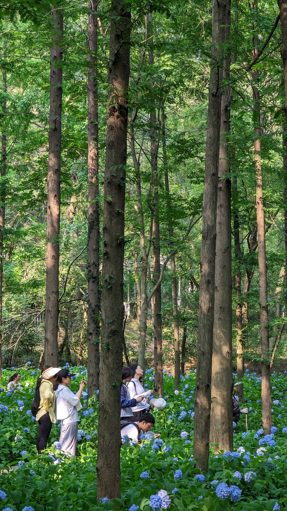 微信图片_20220620212412