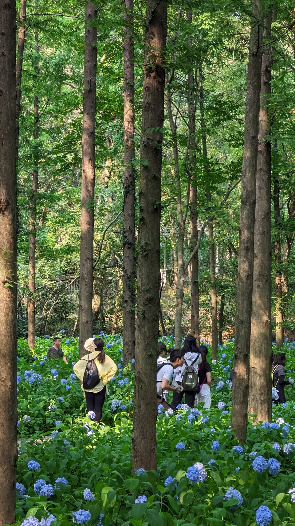 微信图片_20220620212418