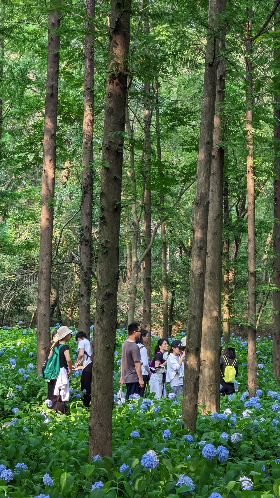 微信图片_20220620212423