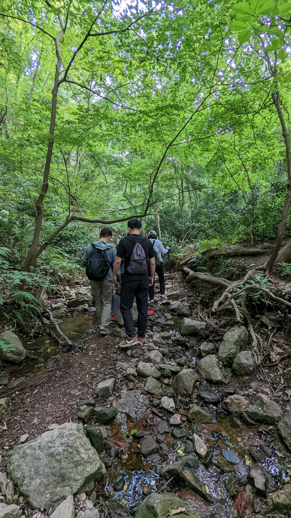 微信图片_20220620212506