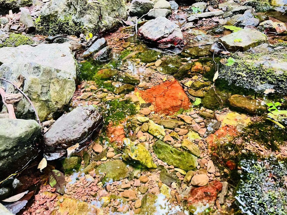 微信图片_20220620212508