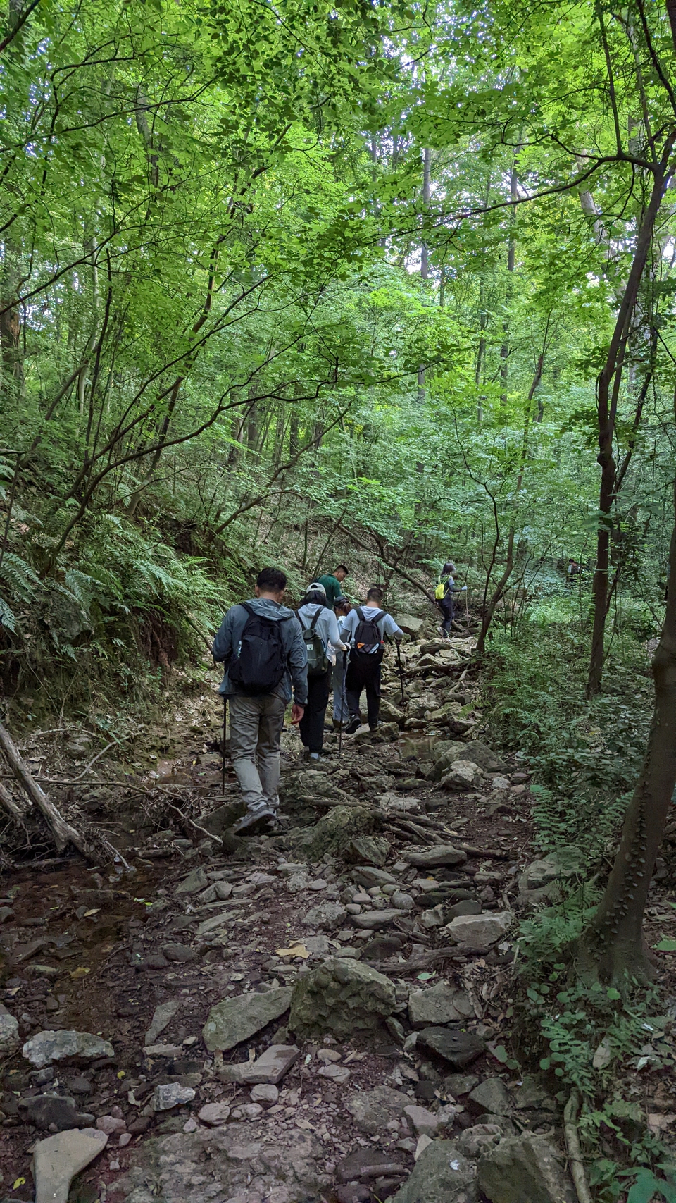 微信图片_20220620212512