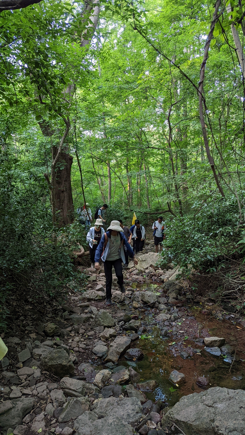 微信图片_20220620212515