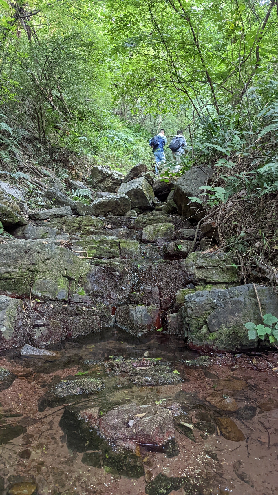 微信图片_20220620212526