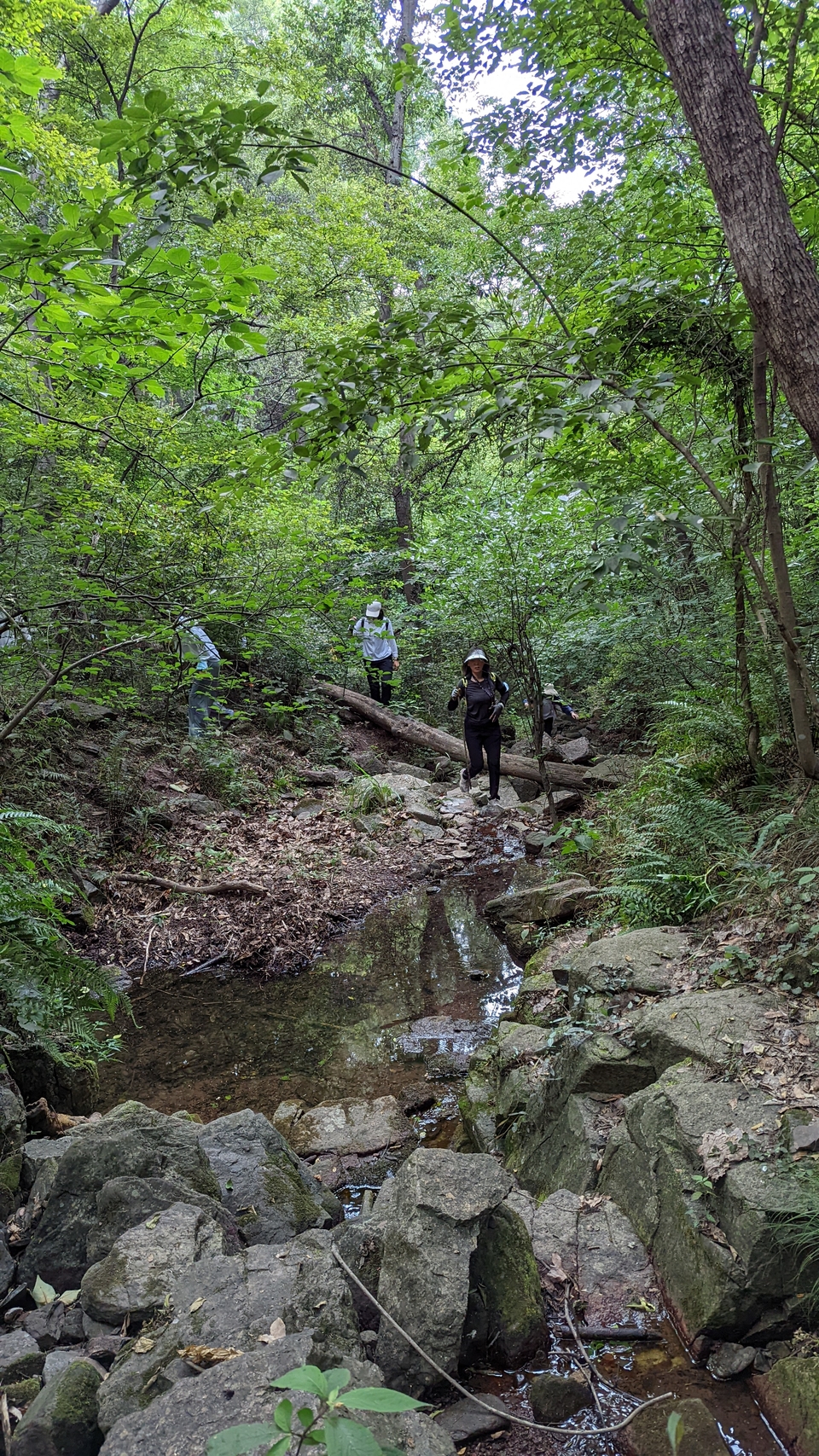 微信图片_20220620212529