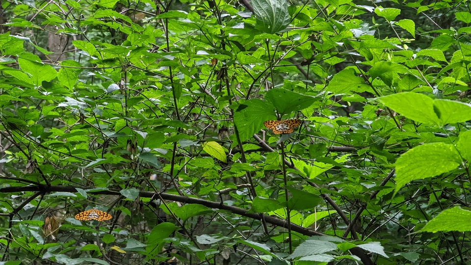 微信图片_20220620212552