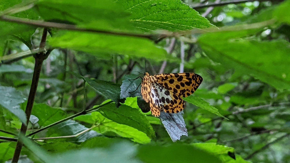 微信图片_20220620212555