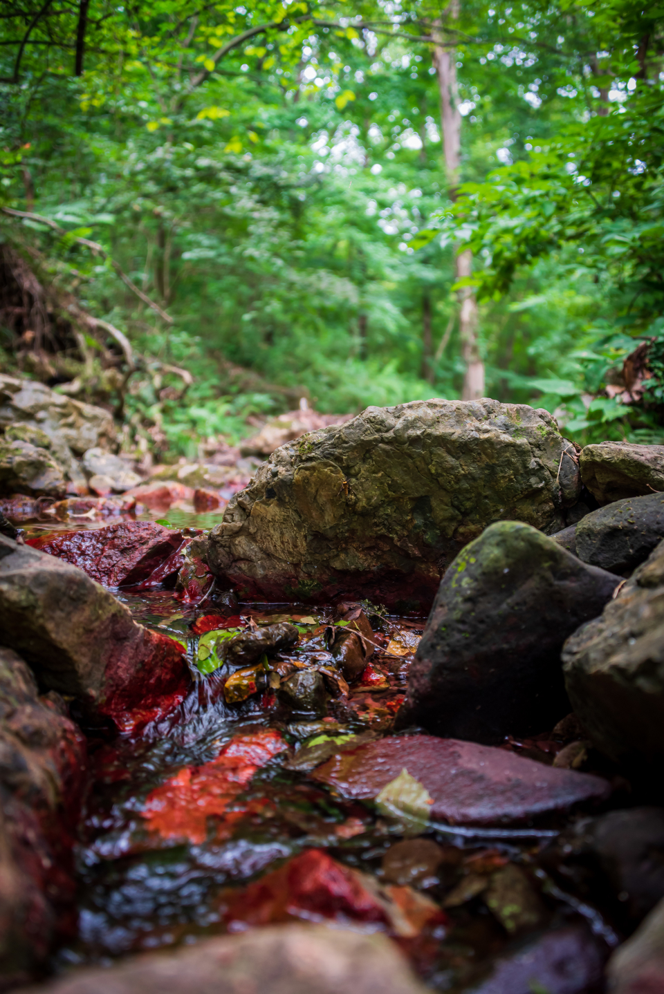 微信图片_20220620212558