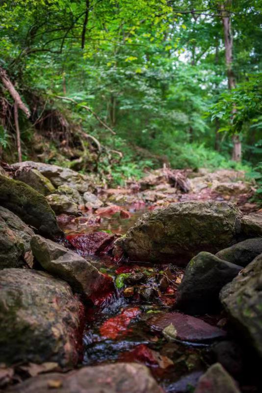 微信图片_20220620212605