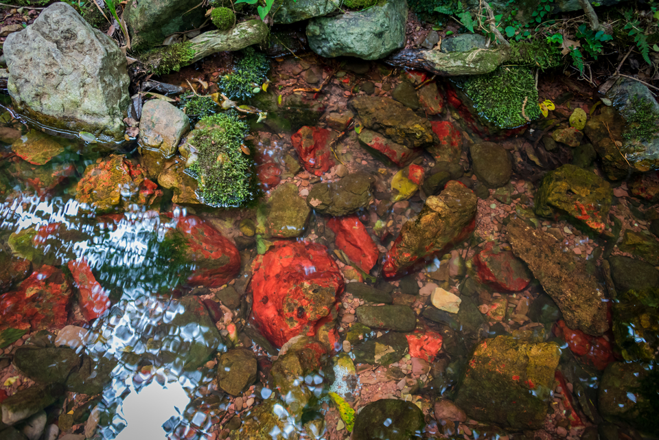 微信图片_20220620212613