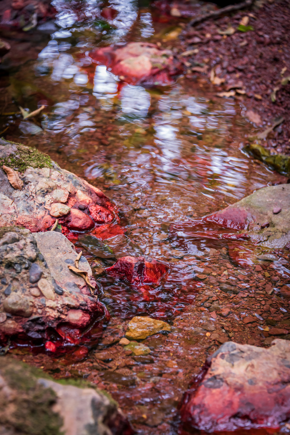 微信图片_20220620212618