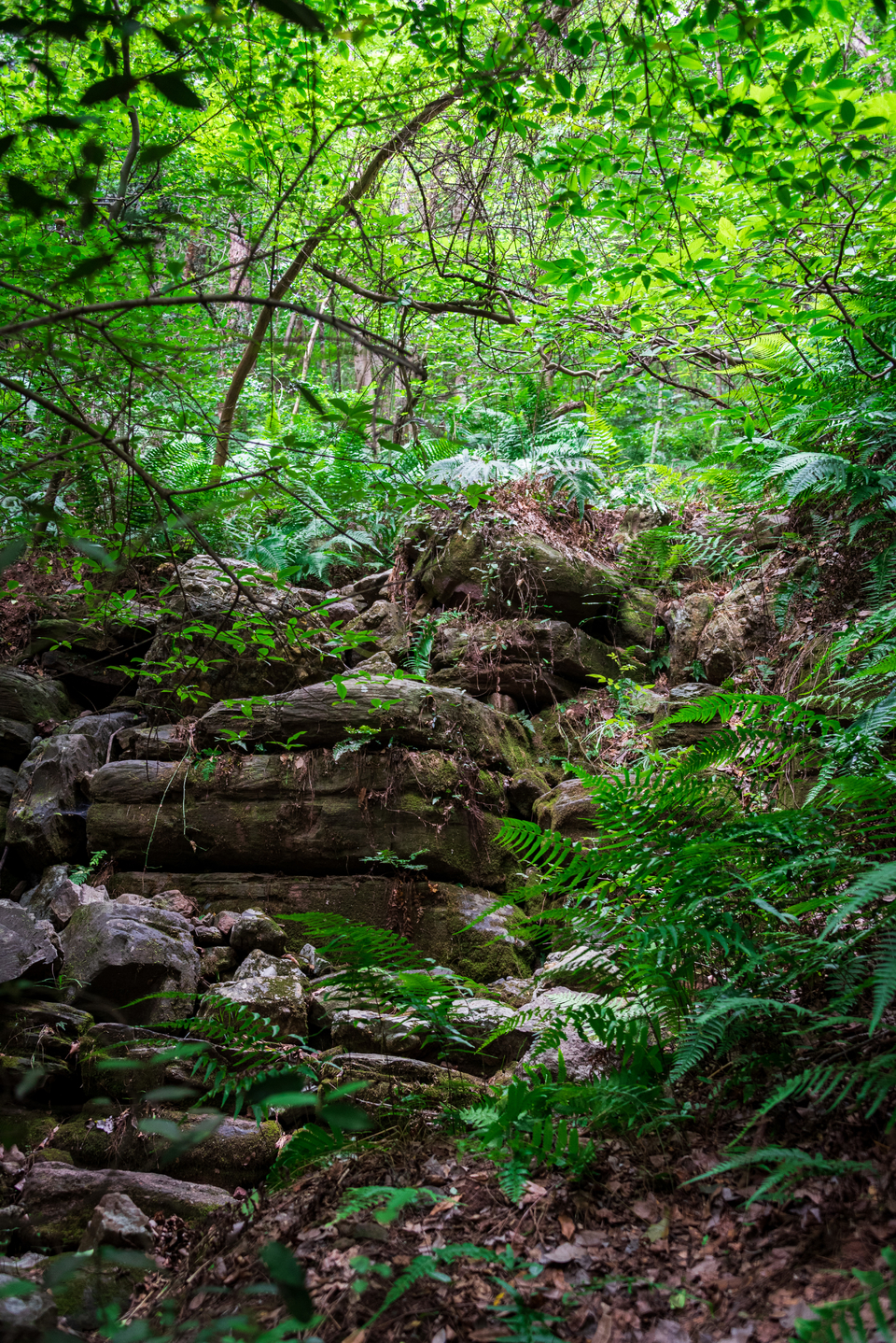 微信图片_20220620212622