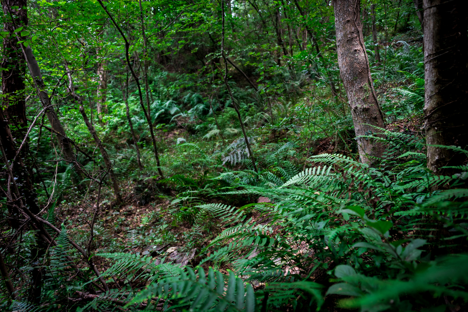 微信图片_20220620212625