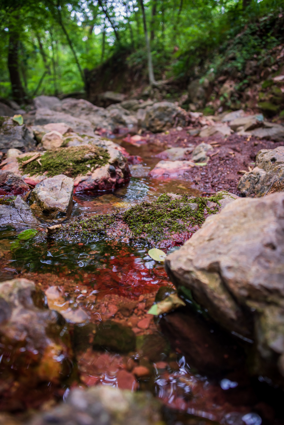 微信图片_20220620212629