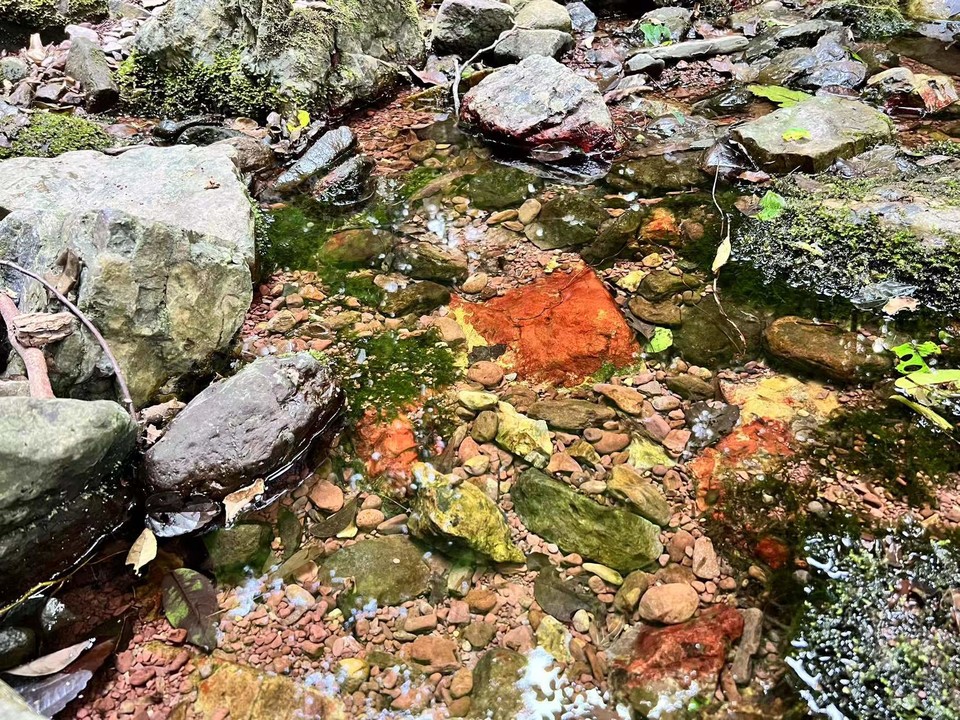 微信图片_20220620212639