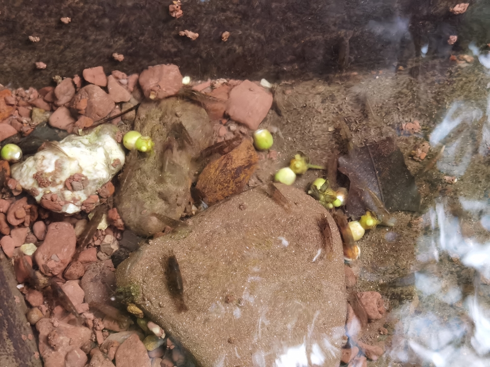 微信图片_20220620212647