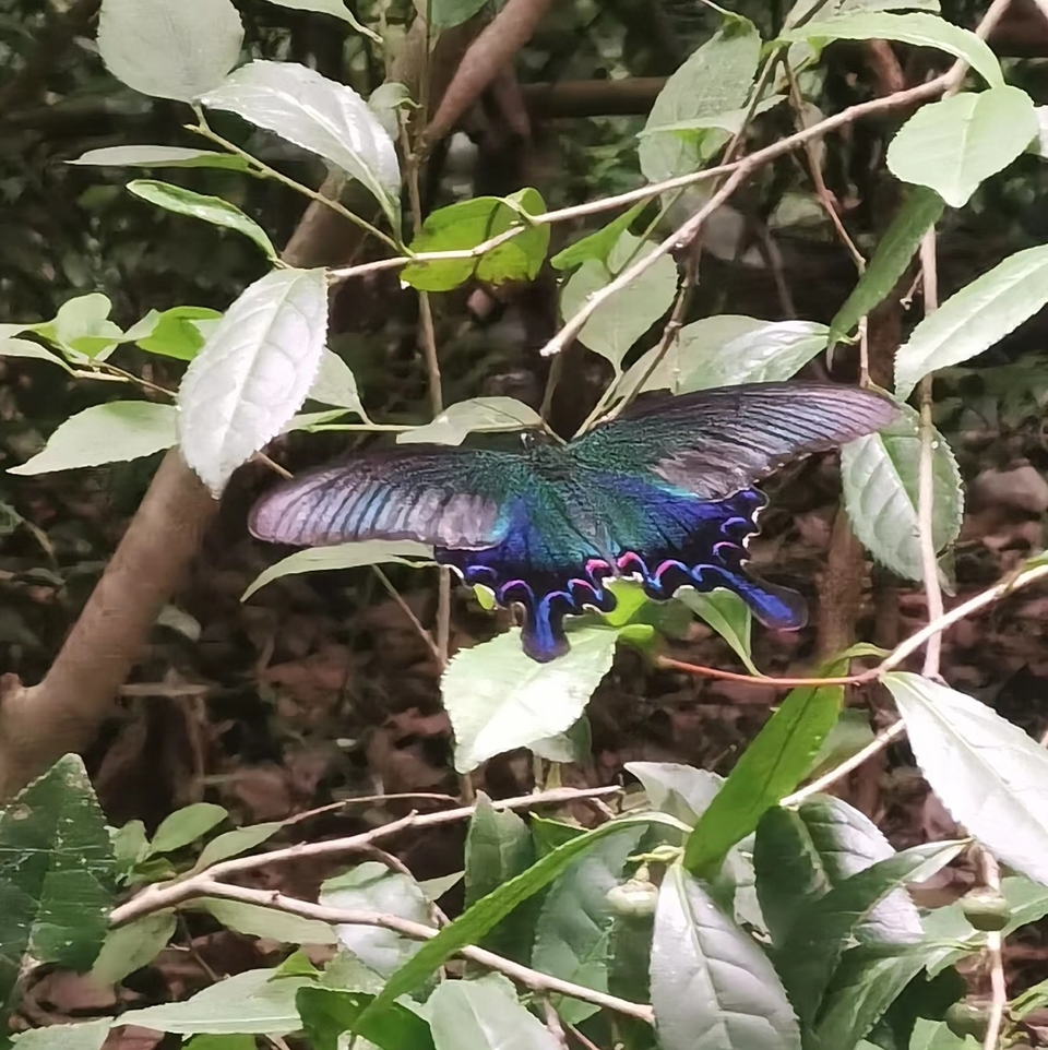 微信图片_20220620212650